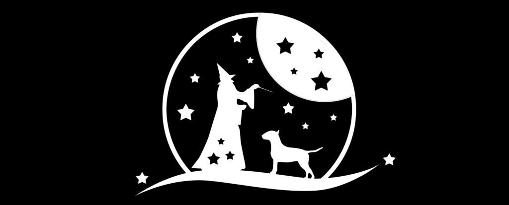 Kameralny hotel dla psów Magic Dog