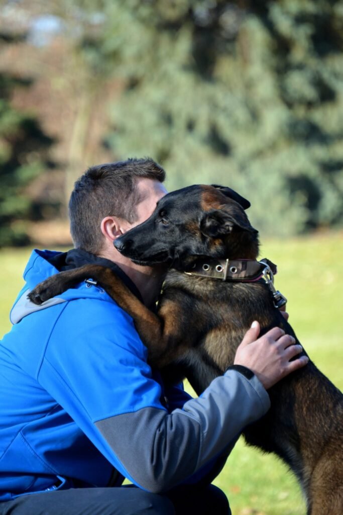 Trening psa w Magic Dog Training Center